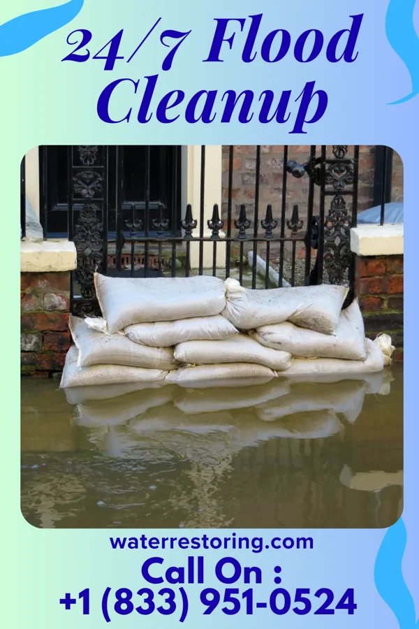 24/7 Flood Cleanup in Milan, MN