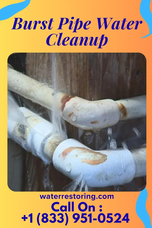 Burst Pipe Water Cleanup in Milan, MN