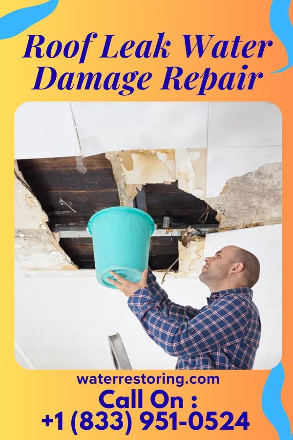 Roof Leak Water Damage Repair in Milan, MN