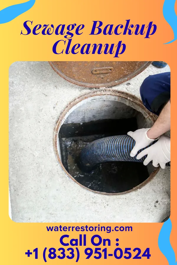 Sewage Backup Cleanup in Milan, MN