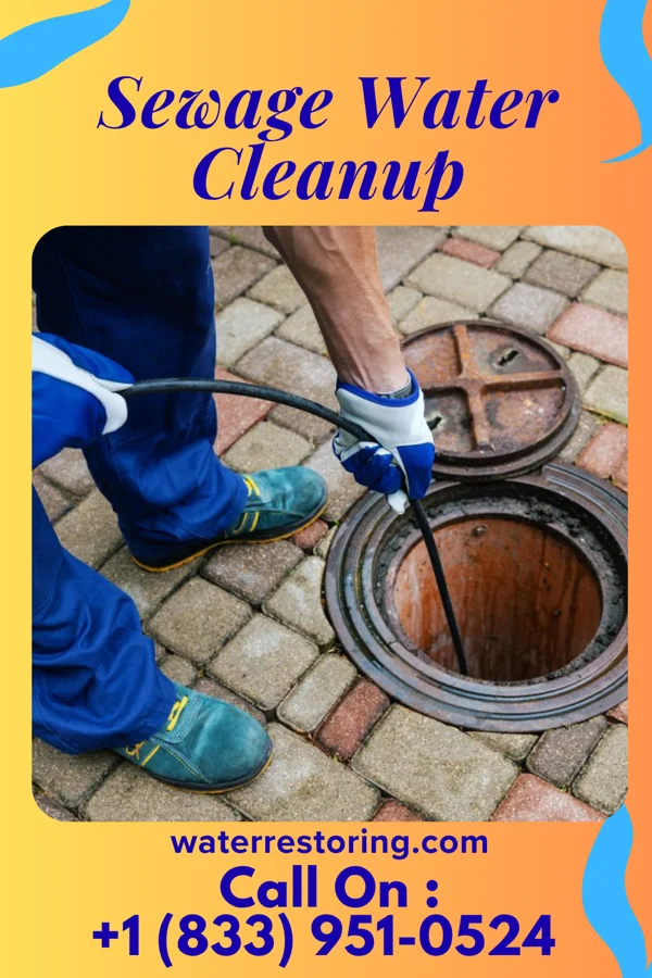 Sewage Water Cleanup in Milan, MN
