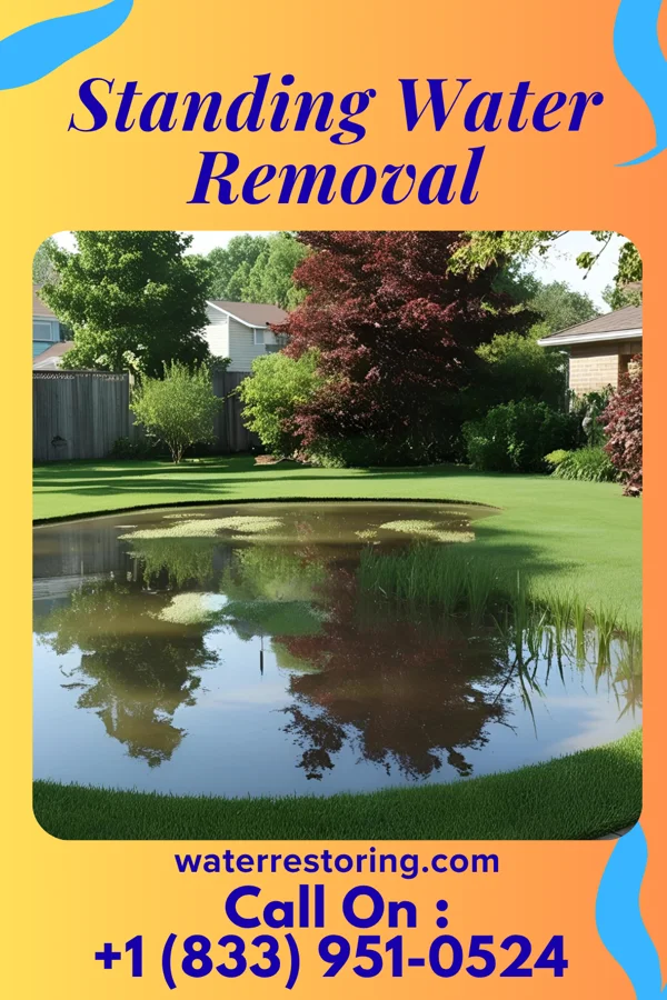 Standing Water Removal in Milan, MN